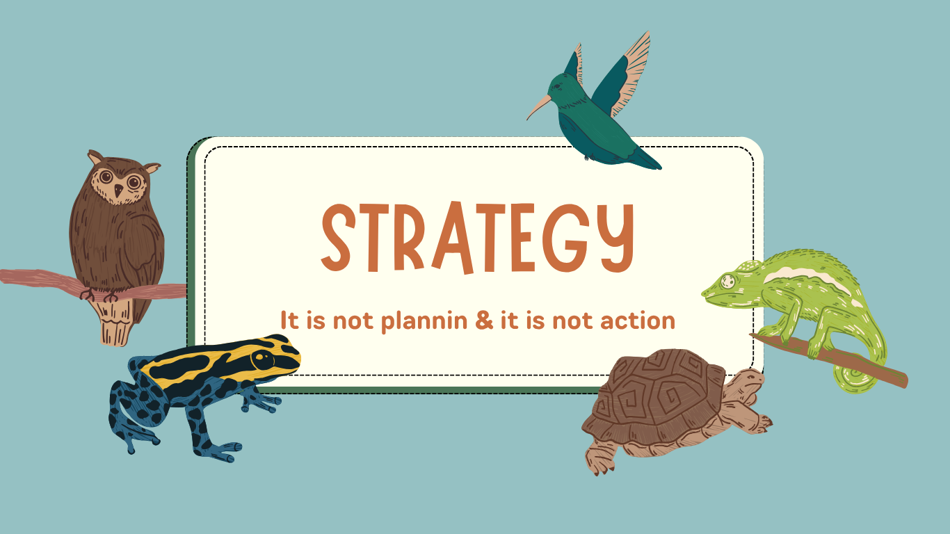 About Strategy